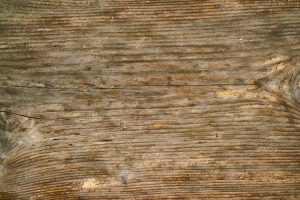 photo 1749815412994 770f276e24e0cropentropycstinysrgbfitmaxfmjpgixidM3wxNDA1NTd8MHwxfHNlYXJjaHw4NHx8cGFuZWxzJTIwd29vZGVuJTIwZmxvb3JzfGVufDF8MHx8fDE3NjMzMDkxMzR8MAixlibrb 4.1.0q80w1080